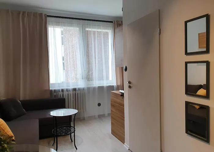 Studio Motlava 公寓 格但斯克